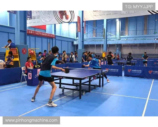 乐冠体育：专注青少年体育教育与训练体系的全面升级与优化