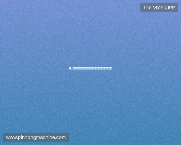 IM电竞安卓版安全稳定运行指南，帮助玩家轻松上手高效竞技